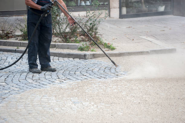Best Roof Washing  in Kent, WA